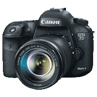 Cameras image