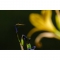 Tamron 150-500mm f/5-6.7 Di III VXD Lens compatible with Nikon Z (A057) - view 9